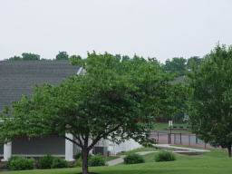 Clubhouse and tree.JPG